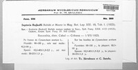 Image Associated With the Occurence